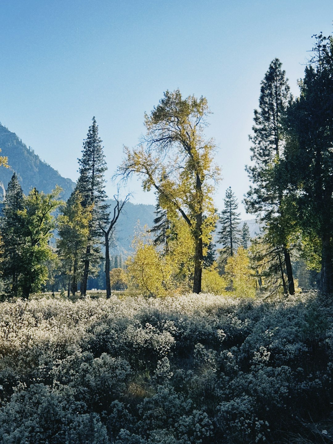 Pleine conscience et performance : lumière, calme et clarté d’esprit pour une meilleure performance